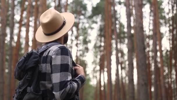 Hombre turista con una mochila mientras camina por el bosque o las montañas. Concepto de senderismo. — Vídeo de stock