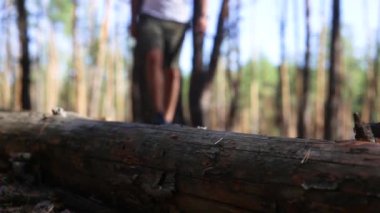 Sırt çantalı bir adam ormanda yürürken düşmüş bir kütüğün üzerinden geçiyor.