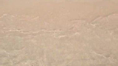 Deniz ve kumlu sahil. Deniz dalgaları.