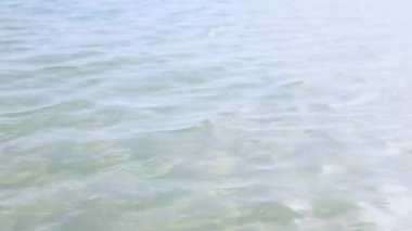 Deniz ve kumlu sahil. Deniz dalgaları.