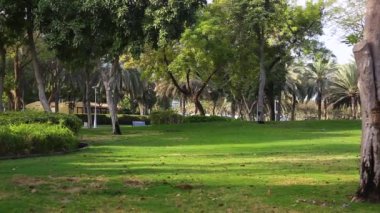 Şehir parkının arka planında çimlerle çevrili..