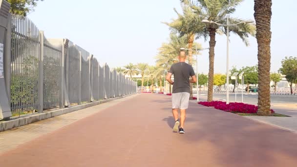 Mężczyzna jogging w parku rano. — Wideo stockowe