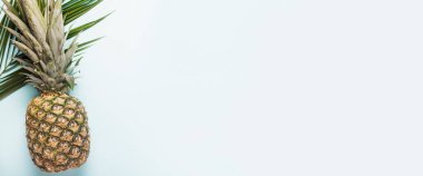 Olgun ananas ve arka planda bir palmiye yaprağı. Üst manzara, düz yatış. Pankart.