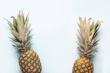 İki tam olgun ananas ve açık arkaplanda palmiye yapraklarının gölgesi. Üst manzara, düz uzanma.