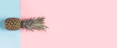 Pembe ve mavi arka planda bir ananas. Üst manzara, düz yatış. Pankart.