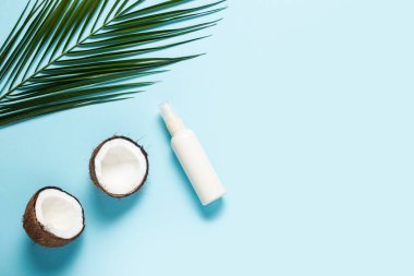 Hindistan cevizi yarımları, palmiye yaprağı ve mavi arka planda sprey şişesi. Üst manzara, düz uzanma.