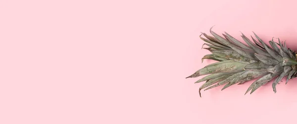 foliage pineapple on a pink background. Top view, flat lay.