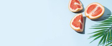 Greyfurt ve mavi arka planda bir palmiye yaprağı kesimi. Üst manzara, düz yatış. Pankart.