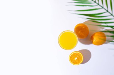 Taze meyve suyu, portakal ve arka planda bir palmiye yaprağı. Üst manzara, düz uzanma.