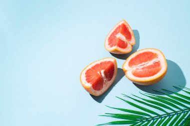 Greyfurt ve mavi arka planda bir palmiye yaprağı kesimi. Üst manzara, düz uzanma.