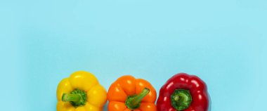 Mavi arka planda üç taze, parlak biber. Üst manzara, düz yatış. Pankart.