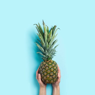 Kadın elleri mavi arka planda olgun bir ananası tutuyor. Üst manzara, düz uzanma.