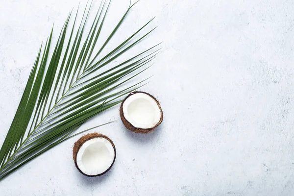 Groen Blad Van Palmboom Gehakte Kokosnoot Een Betonnen Achtergrond Bovenaanzicht — Stockfoto