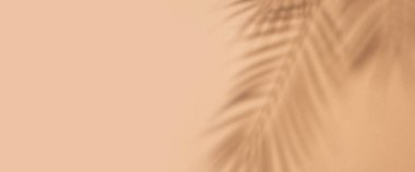 Açık kahverengi arka planda bir palmiye ağacının tropikal yapraklarının gölgeleri. Üst manzara, düz yatış. Pankart.