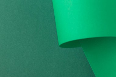 Yeşil kartondan kıvrımlı kıvrımların dizayn arkaplanı. Üst manzara, düz uzanma.