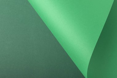 Yeşil kartondan arkaplan eğrisi tasarla. Üst manzara, düz uzanma.