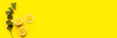 Limon dilimleri, limon dilimleri ve sarı arka planda bir tutam okaliptüs.. 