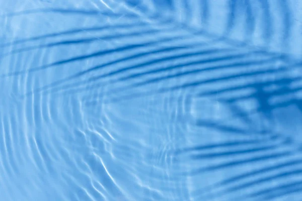 Cień Liści Palmowych Kropla Niebieskim Tle Wody Widok Góry Płaski — Zdjęcie stockowe