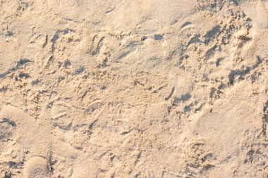 Güneş ışığı altında kumlu bir plajın arka planı. Üst manzara, düz uzanma. 