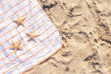 Kumlu bir sahilde, yatak örtüsünde altın denizyıldızı. Üst manzara, düz uzanma.