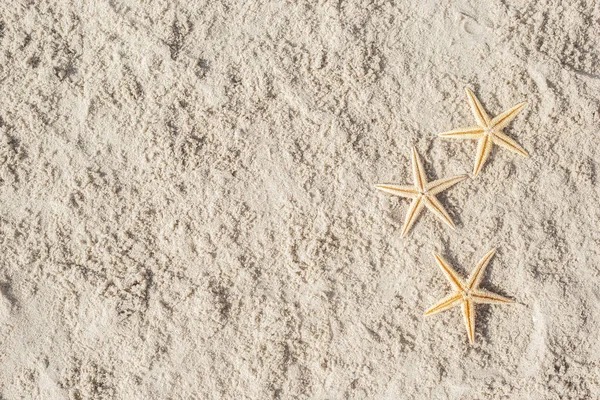 Τρεις Αστερίες Στην Άμμο Πάνω Άποψη Επίπεδη Lay — Φωτογραφία Αρχείου