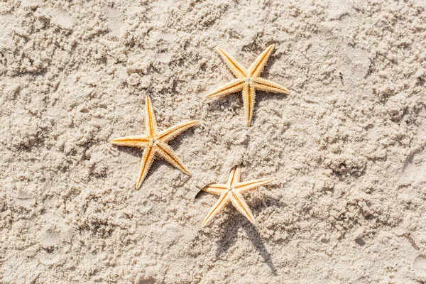 Three Starfish Sand Top View Flat Lay — Stock Photo, Image