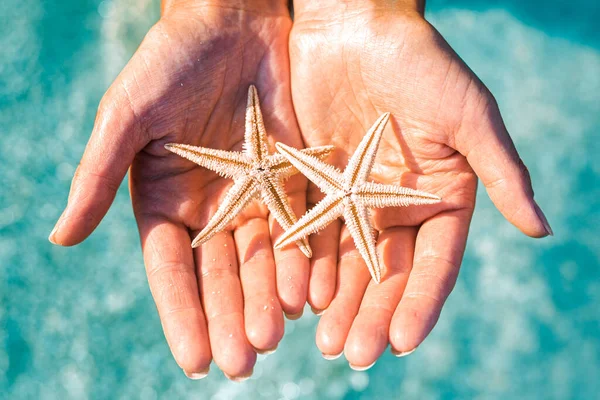 Χέρια Των Γυναικών Κρατούν Δύο Αστερίες Στο Φόντο Της Θάλασσας — Φωτογραφία Αρχείου