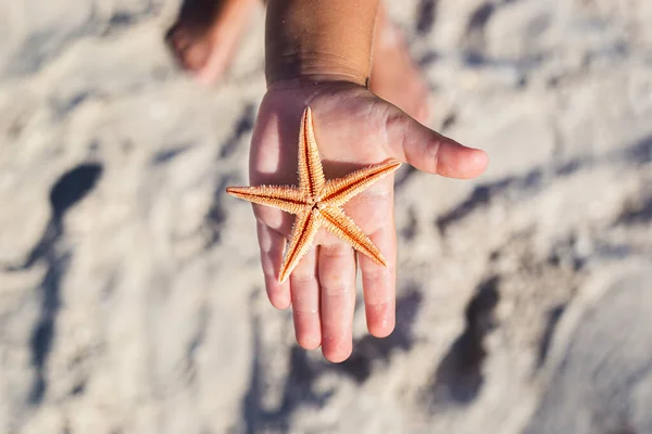 Όμορφος Αστερίας Στην Παλάμη Ενός Παιδιού Μια Αμμώδη Παραλία — Φωτογραφία Αρχείου