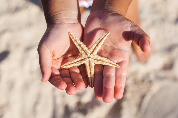 Χέρια Των Παιδιών Κρατούν Έναν Όμορφο Αστερία Στην Αμμώδη Παραλία — Φωτογραφία Αρχείου