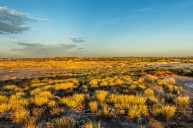 Portekiz 'in Algarve kentindeki Armao de Pra yakınlarında, ılık altın saat ışığıyla aydınlatılan kıyı sulak alanları ve çayırlar geniş bir görüş alanına sahiptir. Yumuşak bulutlar, mavi gökyüzü ve barışçıl bir doğal atmosferi vardır.