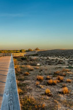Portekiz 'in Algarve kentindeki Armao de Pra yakınlarında, ılık altın saat ışığıyla aydınlatılan kıyı sulak alanları ve çayırlar geniş bir görüş alanına sahiptir. Yumuşak bulutlar, mavi gökyüzü ve barışçıl bir doğal atmosferi vardır.