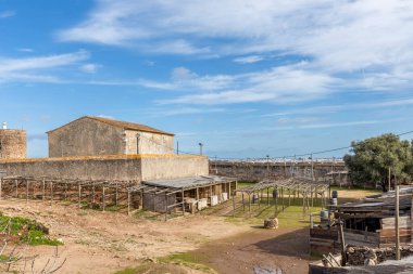 Güney Portekiz 'in Algarve bölgesindeki tarihi Castelo de Castro Marim' in iç manzarasında ortaçağ mimarisi ve kültür mirası sergilenmektedir..