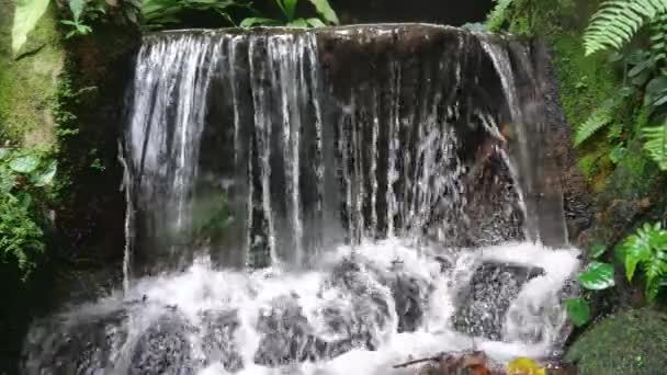 Wide Waterfall Pours Steep Rock Plunges Smaller Ones Bottom Surrounding — Stock Video