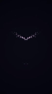 İHA ışığı gece gökyüzünde performans gösteriyor