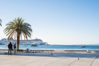 Bölünme, Hırvatistan, 6 Ekim 2025, deniz limanında palmiye ağaçları ve yolcu gemileri bulunan şehir merkezi.