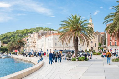 Bölünme, Hırvatistan, 3 Ekim 2025, Adriyatik Denizi 'nde palmiye ağaçları ile gezinti.