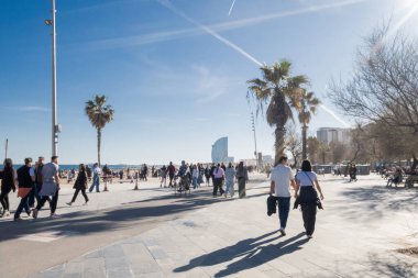 Barselona İspanya, 22 Şubat 2026, Barcelona 'daki Barceloneta plaj kordonunda. İnsanlar parlak mavi bir gökyüzünün altında palmiye ağaçlarıyla kaplı geniş bir kaldırım boyunca yürüyüp bisiklet sürüyorlar..