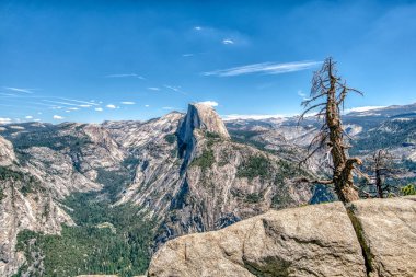 Tepesinde ağaç olan bir dağ sırası. Gökyüzü mavi ve dağ karla kaplı.