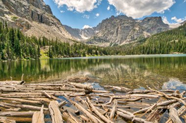 Ağaçlar ve dağlarla çevrili bir göl. Su sakin ve ağaçlar gölün etrafına dağılmış. Huzurlu ve huzurlu bir sahne.