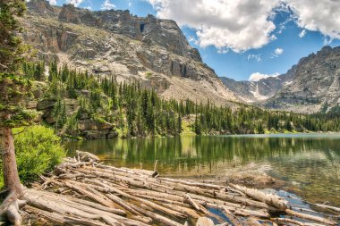 Arkasında orman olan güzel bir dağ gölü. Göl sakin ve huzurlu, kıyıya dağılmış birkaç ağaç var. Gökyüzü açık ve mavidir ve güneş ışıl ışıl parlar.