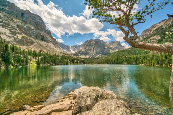 Önünde ağaç olan güzel bir dağ gölü. Gökyüzü açık ve güneş ışıl ışıl parlıyor. Göl sakin ve huzurlu, hiçbir hareketlilik yok. Sahne huzur dolu.