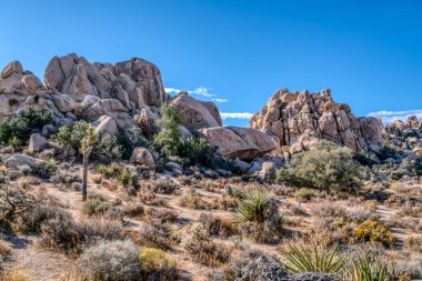 Önünde yalnız bir ağaç olan bir çöl manzarası. Gökyüzü açık ve mavidir, ve güneş parlıyor. Yalnızlık ve sükunet kavramı