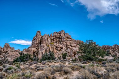 Uzakta yalnız bir ağaç olan kayalık bir çöl manzarası. Gökyüzü açık ve mavidir, ve güneş parlıyor. Yalnızlık ve yalnızlık kavramı