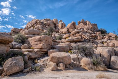 Birkaç çalısı ve ağacı olan kayalık bir yamaç. Gökyüzü mavi ve bazı bulutlar var.