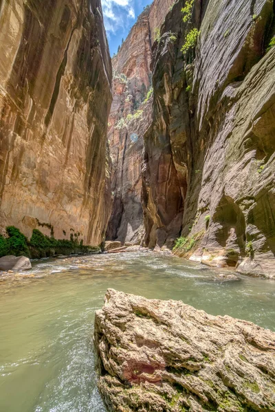 Ortasında büyük bir kaya olan bir nehir bir kanyonun içinden akar. Su berrak ve sakin ve kaya kısmen sular altında. Huzurlu ve huzurlu bir sahne.