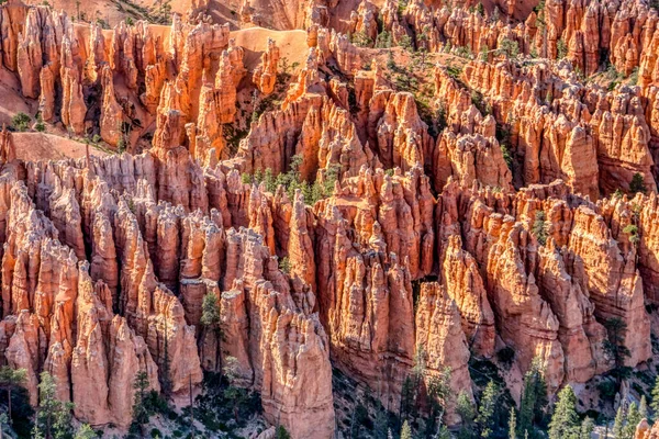 Bir sürü kırmızı kaya oluşumuna sahip geniş bir dağ sırası. Güneş kayaların üzerinde parıldıyor, sıcak ve davetkar bir atmosfer yaratıyor. Huzurlu ve huzurlu bir sahne.