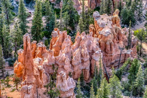Ağaçlardan oluşan bir ormanı ve kayalık bir uçurumu olan bir dağ sırası. Ağaçlar yeşil, kayalar kırmızı.