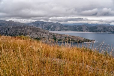 Arka planda su birikintisi olan uzun bir çimen tarlası. Gökyüzü bulutlu ve görüntünün havası biraz kasvetli.