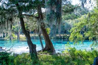 Etrafında ağaçlar ve bitkiler olan güzel mavi bir nehir. Su sakin ve berrak ve içinde yüzen insanlar var. Sahne huzurlu ve rahatlatıcı, suyun doğal güzelliğiyle