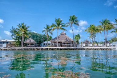 Palmiye ağaçları olan bir sahil ve birkaç evi olan küçük bir köy. Su sakin ve gökyüzü berrak.